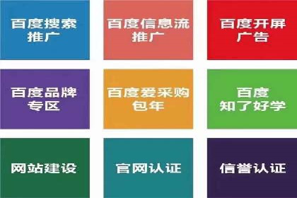 百度SEO推广公司案例解析：实战优化技巧全解读
